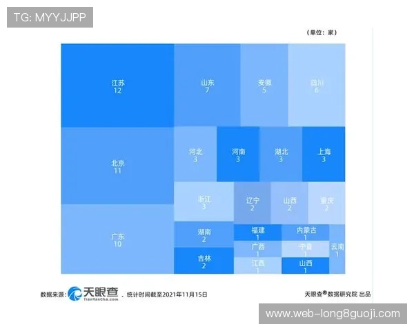 从攻防效率到青训潜力透视北京足球联赛球队数据与城市足球生态演变